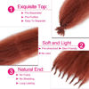 Picture of Afro Twist Hair Springy Afro Twist Hair 24 Inch 3 Packs Pre Fluffed Spring Twist Hair Pre Stretched Wrapping Hair for Soft Locs Hair Extensions (24 Inch (Pack of 3), 350#)