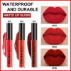 Picture of evpct DNM 3Pcs Dark Ruby Red Matte Liquid Lipstick Lip Stain Lipgloss sets for Women 24 Hour Red Matte Lipstick Long Lasting Smudge Proof