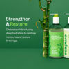 Picture of RENPURE Bamboo & Quinoa Shampoo, Plant-Based - Restores, Hydrates & Strengthens For Healthier Hair - For Weak, Dull & Damaged Hair - Bamboo Extract & Quinoa Protein - 24 Fl Oz