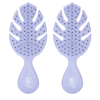 Picture of Wet Brush Go Green Mini Detangler, Purple - Detangling Travel Hair Brush - Ultra-Soft IntelliFlex Bristles Glide Through Tangles & Gently Loosens Knots While Minimizing Pain & Breakage (Pack of 2)