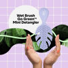Picture of Wet Brush Go Green Mini Detangler, Purple - Detangling Travel Hair Brush - Ultra-Soft IntelliFlex Bristles Glide Through Tangles & Gently Loosens Knots While Minimizing Pain & Breakage (Pack of 2)