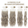 Picture of FLIACE Hair Extensions Clip ins, 6 PCS Wavy Extensions, Light Gray&Ash Blonde&Light Brown Thick Hair, Blends Well Hair Extensions (20Inch, 6PCS, Gray Brown&Ash Blonde)