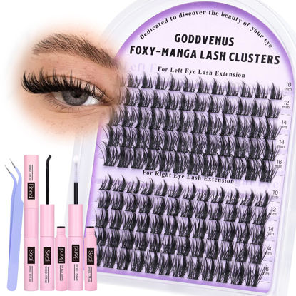 Picture of Goddvenus Manga Lash Cluster Kit Wispy Lashes Clusters Fluffy Eyelash Clusters Upturned Foxy Cluster Eyelash Extensions Kit D Curl Fairy Eyelash Extension Kit 10-16mm Individual Lashes Kit