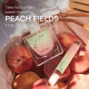 Picture of Skylar Peach Fields Eau de Parfum - Hypoallergenic & Clean Perfume for Women & Men, Vegan & Safe for Sensitive Skin - Sweet Perfume with Notes of Mandarin, Grapefruit, Peach - 10mL /0.33 Fl oz