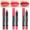 Picture of evpct 3Pcs Light Natural Pink Metallic Matte Lip Liner Pencil Crayon and Lipstick Set Long Lasting Waterproof DNM Matching Lipstick and Lip Liner Set 24 Hour labiales mate 24 horas originales 1&4&7