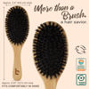 Picture of Boar Bristle Hair Brush - Natural Boars Bristle Hairbrush for Women, Men & Kids, Soft Bristles for Thin and Fine Hair, Anti-Frizz & Tangle-Free Smoothing Brush, Gentle on Scalp