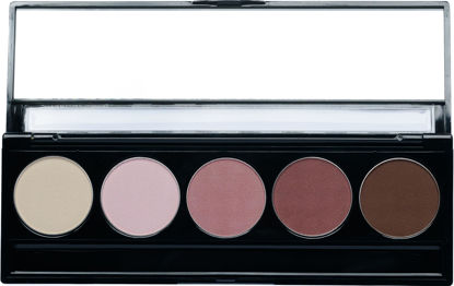 Picture of Pure Ziva Matte Rose Pink Vegan Eyeshadow Palette; Talc, Paraben & Cruelty Free