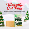 Picture of Duke Cannon Supply Co. Big Brick of Soap Bar for Men Holiday Edition Illegally Cut Pine (Fresh Split Pine Scent) Multi-Pack- Superior Grade, Extra Large, Paraben-free, Cruelty-Free, 10 oz (6 Pack)