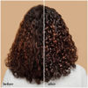Picture of OUIDAD Advanced Climate Control Styling Cream, 16 fl oz, Featherlight Curl Cream for Curly Hair, Shiny, Hydrated & Frizz-Free Curls, Sulfates, Parabens & Cruelty-Free Curly Hair Products