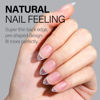 Picture of AILLSA Short Almond Nail Tips 450PCS Upgraded Matte Soft Gel Nail Tips No Filed Pre-shaped Full Cover Short Almond Nails Clear False Gelly Nail Tips for Soak Off Nail Extensions 15 Sizes