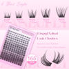 Picture of Lash Clusters Wispy Eyelash Clusters Natural C Curl DIY Lash Extension zanlufly 180Pcs Thin Band Individual Lashes Eyelash Extensions (8-16MM)