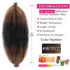 Picture of Springy Afro Twist Hair 24 Inch 3Packs, Afro Twist Hair Pre Fluffed Spring Twist Hair Pre Separated Wrapping Hair for Soft Locs Hair Extensions (24 Inch (Pack of 3), 1B/30/27#)