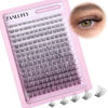 Picture of Lash CLusters Wispy Eyelash Clusters Natural Lash Extensions C Curl zanlufly Individual Lashes DIY Eyelash Extensions at Home Mix Length Cluster Lashes (180Pcs,8-16MM)