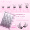 Picture of Lash CLusters Wispy Eyelash Clusters Natural Lash Extensions C Curl zanlufly Individual Lashes DIY Eyelash Extensions at Home Mix Length Cluster Lashes (180Pcs,8-16MM)