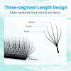 Picture of NAGARAKU 5D W Shape Eyelash Extension VERSION 2.0 lash Supplies Natural Soft Volume 0.07mm C curl 8mm Premade Fans PBT Matte Black Cluster W Lash Easy Fanning False Lashes yy Lashes