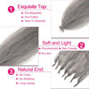Picture of Springy Afro Twist Hair 24 Inch 3 Packs, Afro Twist Hair Pre Fluffed Spring Twist Hair Pre Separated Wrapping Hair for Soft Locs Hair Extensions (24 Inch (Pack of 3), Gray#)