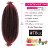 Picture of Marley Twist Braiding Hair 16 Inch Pre-separated Springy Afro Twist Hair 3 Packs Marley Hair for Faux Locs Afro Spring Twist Hair Extensions (16 Inch (Pack of 3), TBUG#)