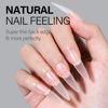 Picture of AILLSA Long Stiletto Nail Tips - Upgraded Matte Soft Gel Full Cover Nail Tips No Filed, 240Pcs Pre-shaped Gelly Tips Acrylic Clear False Press On Nail Tips for Soak Off Nail Extension 10 Sizes
