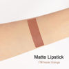 Picture of evpct DNM 1Pcs Light Nude Brown Matte Lipstick and Lip Crayon Liner Pencil Set for Women Lip Stain Long Lasting Waterproof labiales mate magicos 24 horas originales pintalabios permanente 24 horas 17