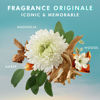 Picture of Moroccanoil Hand Cream Fragrance Originale 1.4 Fl Oz