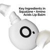 Picture of The Ordinary Squalane + Amino Acids Hydrating Lip Balm, for Lips, Elbows, and Cuticles, 0.5 Fl Oz