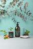 Picture of Compagnie de Provence Savon de Marseille Apothicare Liquid Soap, Mint Basil, 10 Fl Oz Plastic Pump Bottle