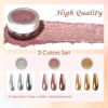 Picture of Laza 3 Colors Chrome Nail Powder Mirror Effect Metallic Dust Holographic Glitter Glazed Manicure Decoration Reflective Pigment for DIY Gel Polish Nail Art, Resin Craft, Gifts - Rose Moonlight