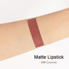Picture of evpct DNM 1Pcs Dark Brown Matte Lipstick and Lip Crayon Liner Pencil Pen Set for Women Roll up Lip Liner Dark brown Lip Stain Long Lasting Waterproof labiales mate magicos 24 horas originales 08