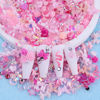 Picture of Sinyanail 300pcs Nail Art Charms Kit,Over 100pcs Mixshape Resin Nail Gems and 100 pcs Mixed Flatback Nail Rhinestones Pearls with Over 100pcs Nail Sequins for Nail Art Accessories (Pink)