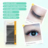 Picture of NAGARAKU W Eyelash Extension 4D Volume Premade 0.07mm C curl 17mm Faux Mink Matte Black Cluster Easy Fanning yy Eye Lashes