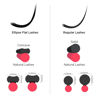 Picture of BEYELIAN Eyelash Extensions, Individual Lashes, 0.15mm D Curl 10mm Super Matte Classic Lash Extensions, Ellipse Flat Eyelash Extension, Light and Soft Natural Look for Professional Salon Use