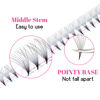 Picture of TDANCE Premade Fans Eyelash Extensions 320 Fans Pre Made Fans Lash Extensions Middle Stem Heat Bonded Premade Lash Fans Volume Lash Extensions(320-24D-0.05-C-8-15mm)
