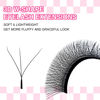 Picture of TDANCE W Eyelash Extensions 3D Premade Fans W Lashes 0.07 C/D Curl Matte Black W Shaped Volume Fans (W-3D-0.07-C-11mm)
