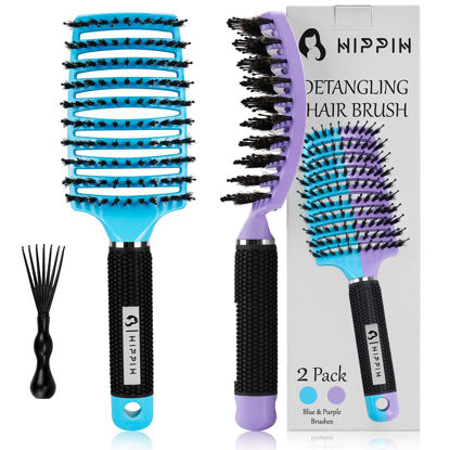 Picture of Boar Bristle Hair Brush 2 Pack, HIPPIH Wet & Dry No Pull Curved Vented Hair Brush, Styling Voremy Magical Brush Detangler for Kids & Men, Hairbrush for Women Can Adds Shine & Smooth Curly Thick Hair