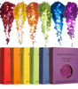 Picture of KARIZMA Love is Love. 6X 10g Chunky Face Glitter, Pride Rainbow Glitter, Hair Glitter, Eye Glitter and Body Glitter for Women and Men. Rave Glitter and Cosmetic Glitter Makeup.