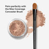 Picture of bareMinerals Loose Powder Concealer SPF 20, Mineral-Based Concealer for face, Lightweight Coverage, Conceals Redness + Blemishes, Talc Free, Vegan Concealer