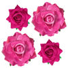 Picture of Topbuti Rose Hair Clip Flower Hairpin Rose Brooch Floral Clips, 4 Pcs Fabric Rose Flowers Hair Clips Mexican Hair Flowers Pin up Headpieces for Woman Girl Wedding Party Mother's Day (Hot Pink)