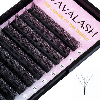 Picture of VAVALASH W-shaped Eyelash Extension 5D Premade Fans 0.07 C Curl Volume Lash Extensions Easy Fanning Lashes Matte Black Volume Premade W Lashes(W Shaped-5D-0.07-C-13mm）