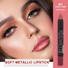 Picture of evpct DNM 1Pcs Light Pink Metallic Lipstick and Lip Crayon Liner Pencil Pen Set for Women Lip Stain Long Lasting Waterproof labiales mate magicos 24 horas originales pintalabios permanente 24 horas 01