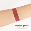 Picture of evpct DNM 1Pcs Brown Matte Lipstick and Lip Crayon Liner Pencil Pen Set for Women Roll up Lip Liner Dark brown Lip Stain Long Lasting Waterproof labiales mate magicos 24 horas originales 06