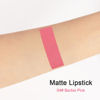 Picture of evpct DNM 1Pcs Pink Matte Lipstick and Lip Crayon Liner Pencil Pen Set for Women Lip Stain Long Lasting Waterproof labiales mate magicos 24 horas originales pintalabios permanente 24 horas 04