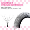 Picture of TDANCE W Eyelash Extensions 5D Premade Fans W Lashes 0.07 C/D Curl Matte Black W Shaped Volume Fans (W-5D-0.07-C-10mm)