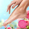 Picture of Bodycology Shea Butter Body Cream, Sweet Love, 8 oz