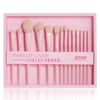 Picture of Jessup Pink Makeup Brushes Set 14Pcs Make up Brushes Premium Vegan Foundation Concealer Blush Eyeshadow Eyeliner Powder Highlighter Blending Face Brush Set with Gift Box, T495-G