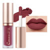 Picture of evpct 6Pcs Maroon Red Silky Velvet Matte Liquid Lipstick Lip Gloss Set for Women Long Lasting 24 Hours Color Stay Lipstick labiales matte larga duracion mate 24 horas originales 10#
