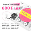 Picture of TDANCE 600 Fans Premade Fans Eyelash Extensions 8-15mm Mixed Length Pre Made Fans Lash Extensions 5D 8D 10D 12D 14D 16D 24D Promades Eyelash Fans C/D Curl Premade Lash Fans(600-10D-0.03-D-8-15mm)
