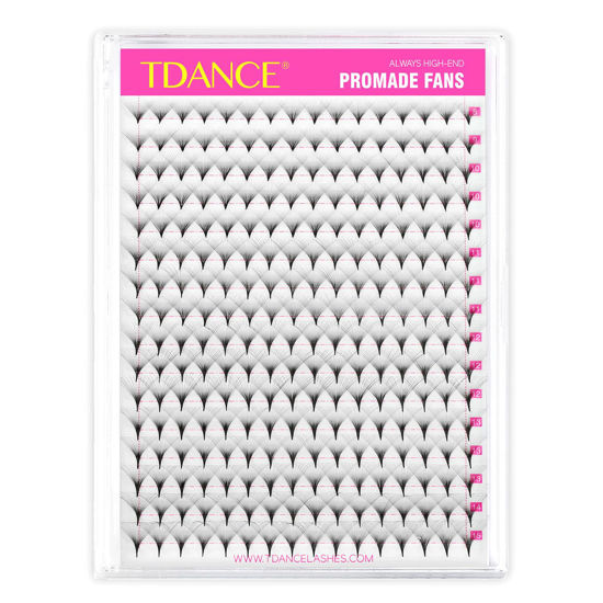 Picture of TDANCE Premade Fans Eyelash Extensions 256 Fans Pre Made Fans Lash Extensions Middle Stem Heat Bonded Premade Lash Fans Volume Lash Extensions(256-30D-0.03-C-8-15)