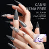 Picture of CANNI Grey Gel Nail Polish, 1Pcs Grey Gel Polish Dark Grey Color Nail Polish Gel High Gloss Soak Off U V Gel Nail French Nail Manicure Salon DIY