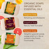 Picture of O NATURALS 100% Natural Bar Soap - Assorted 6 PCS Soap Gift Set - Organic Ingredients & Essential Oils - Spa Gifts for Women & Men, Body Wash Soap Bar & Face Soap - Moisturizing Organic Citrus Soap