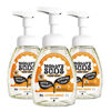 Picture of Molly's Suds Foaming Hand Soap - Made with Aloe and Coconut Oil | Moisturizing Hand Wash | Clean Ingredients, Infused with Essential Oils | Citrus Grove - 8.25 Oz (Pack of 3)